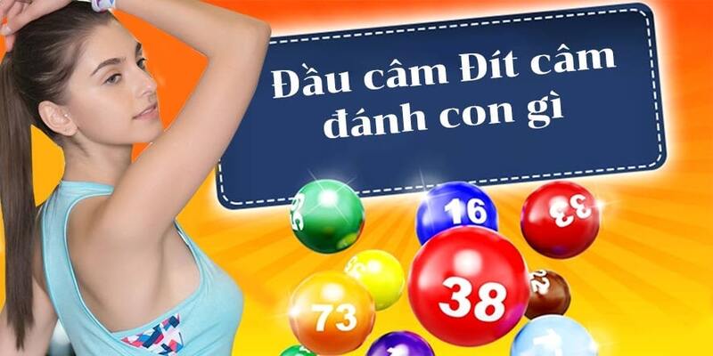 Luận số lô kép từ đầu câm đít câm tạo cơ hội rinh thưởng lớn